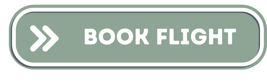 Book Flight